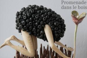 Promenade dans le bois