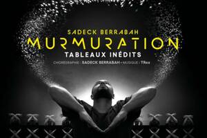 Murmuration Level 2