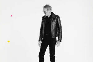 Alain Chamfort -