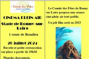 CINEMA EN PLEIN AIR La Petite Sirène
