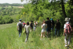 Sorties nature - Trame verte - quand la nature se connecte