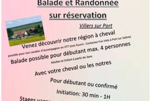 Activité à cheval ou poney