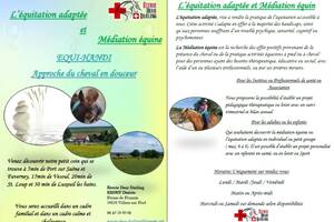 photo Equi-Handi