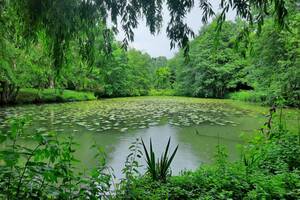 Balade découverte Herpétologique et Jardin de Biodiversité Vallée de Courtineau