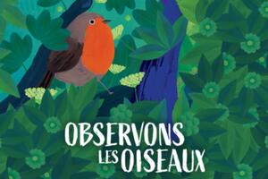 Observons les oiseaux