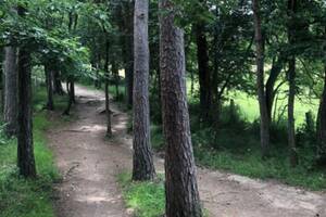 Balade Immersion nature FAMILLES