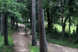 balade Immersion nature FAMILLES