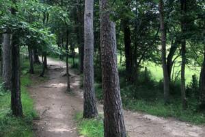 balade Immersion Nature FAMILLES