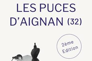 Les Puces d'Aignan