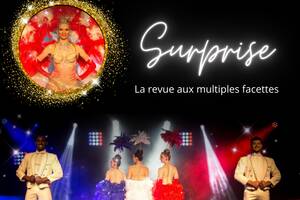 Repas spectacle Music Hall - Cabaret Les Soirées du Pin