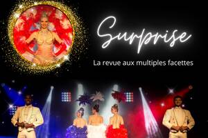 Repas spectacle Music Hall - Cabaret Les Soirées du Pin