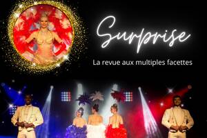 Repas spectacle Music Hall - Cabaret Les Soirées du Pin