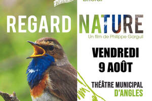 Projection Regard Nature