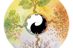 photo Animations hebdomadaires de Qi Gong & Taiji Quan traditionnel (prononcer Chi Kung et Taichi Chuan)