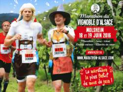 12ème édition du marathon du vignoble d'Alsace - Wangen