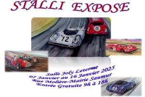 STALLI  EXPOSE