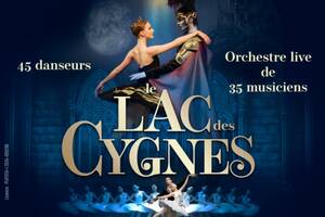 LE LAC DES CYGNES