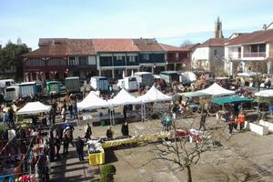 foire aux chevaux, ânes et poneys, vide greniers et vide écuries