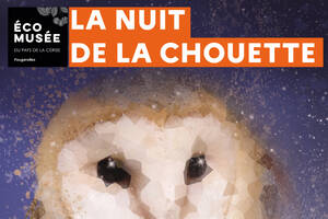 Nuit de la chouette