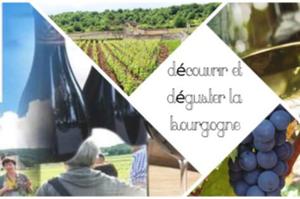 stage découverte des climats et initiation à la dégustation géo sensorielle des vins de bourgogne