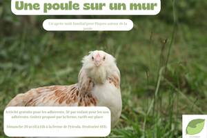 Une poule sur un mur