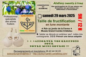 Ateliers fruitiers : Taille de fructification-mini bourse aux greffons