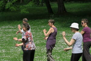 Journée Qi Gong et Taichi Chuan pour tous avec Anne