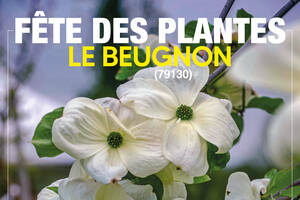 photo Fête des plantes le Beugnon