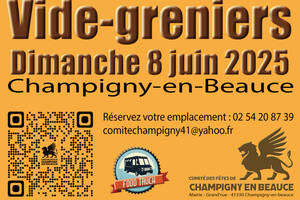 photo brocante/vide-greniers le 8 juin 2025