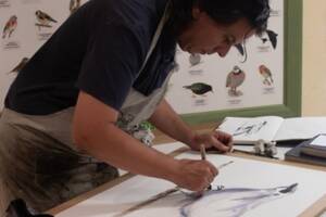 photo Démonstration d'aquarelle et lectures en musique pour l'inauguration de l’exposition « Cheminer avec l'arbre »