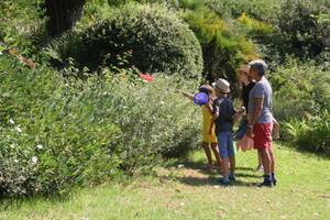 photo Activité famille : Les petites bêtes du Jardin