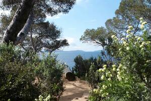 photo Visite thématique : Qui prend racine en bord de mer ?