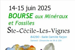 photo Bourse aux minéraux et fossiles