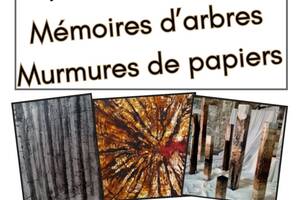 photo memoires d'arbres, murmures de papiers
