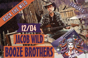 JACOB WILD + BOOZE BROTHERS - Rock the Wild
