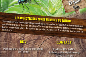 photo Les insectes des zones humides du Tallud