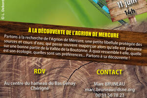 photo À la découverte de l'Agrion de Mercure