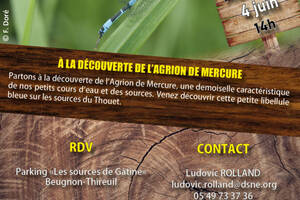 photo À la découverte de l'Agrion de Mercure