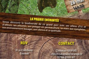 photo La Prairie enchantée