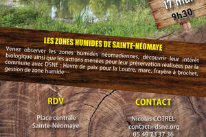 photo Les zones humides de Sainte-Néomaye