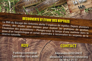 photo Découverte et étude des reptiles