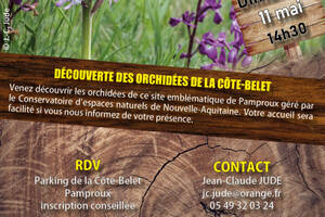 photo Découverte des orchidées de la Côte-Belet