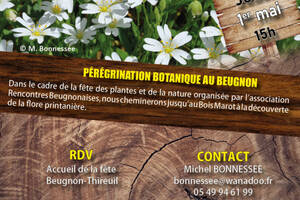 photo Pérégrination botanique au Beugnon