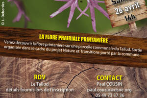 La flore prairiale printanière