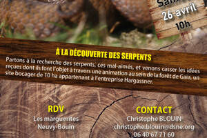 À la découverte des serpents
