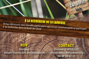 À la recherche de la Laineuse