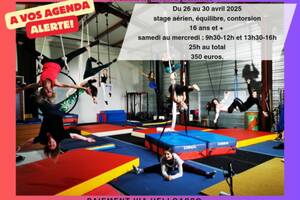 photo Stage de cirque (Adultes) Aérien, contorsion, équilibre
