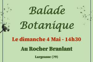 photo Balade Botanique au Rocher Branlant