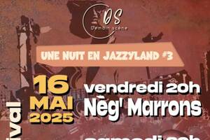 photo Une nuit en Jazzyland 3
