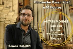 photo Concert d'orgue en la Basilique Saint Remi - Autres Mondes